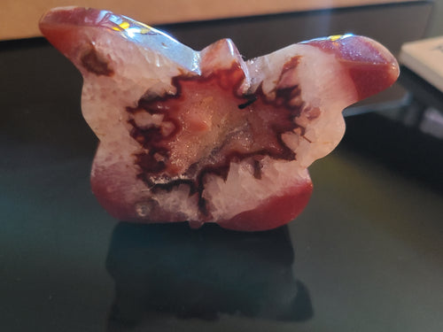 Carnelian & Quartz Butterfly Carving with Druzy – Crystal for Transformation, Vitality and Joy